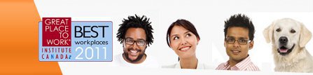 Softchoice Jobs Image