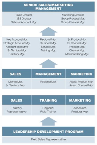 TTi's Field Sales Representative career path flowchart